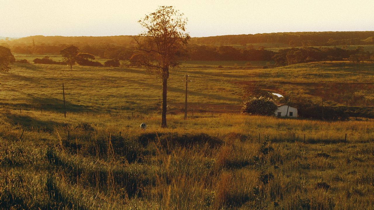 Rural sunset landscape Hill Country