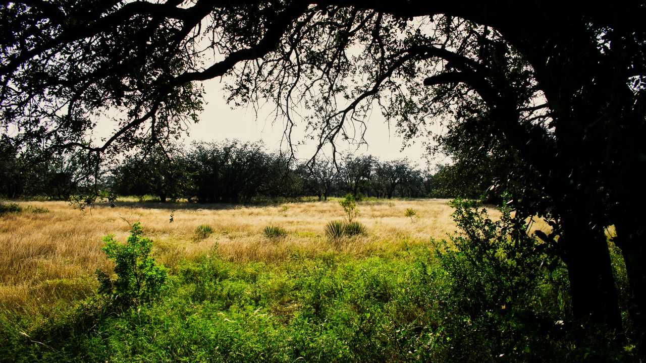 Hill Country landscape at Knolls Crossing